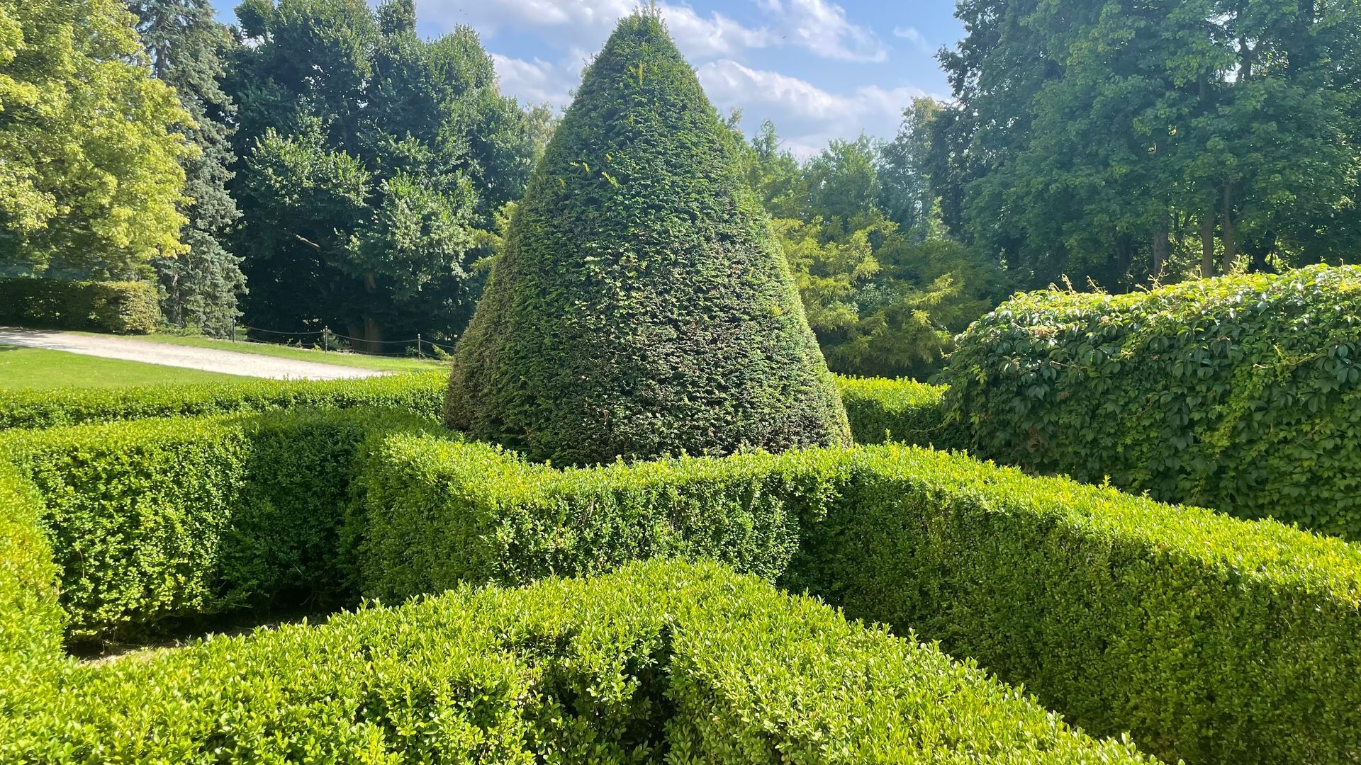 Green hedge maze with a conical tree centerpiece, outdoors in sunlight.