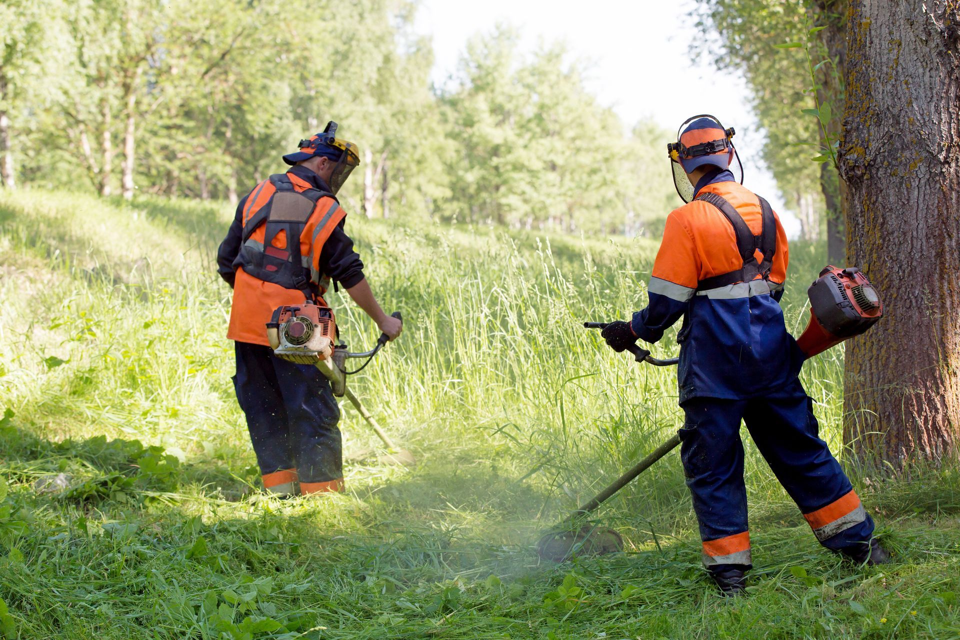 Two people wearing safety gear using weed wackers in a grassy area.