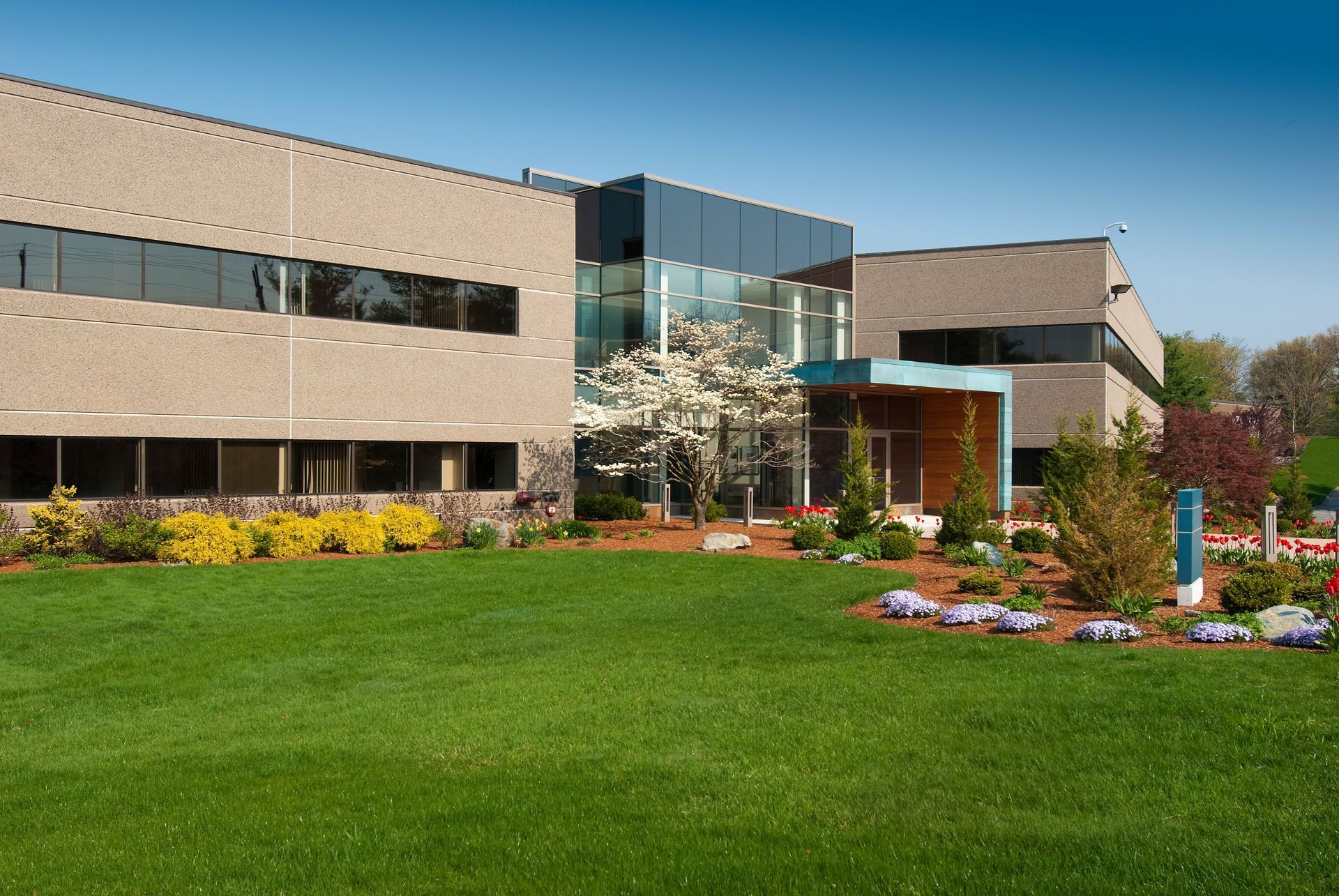 Modern office building with grassy lawn, trees, and blue sky.