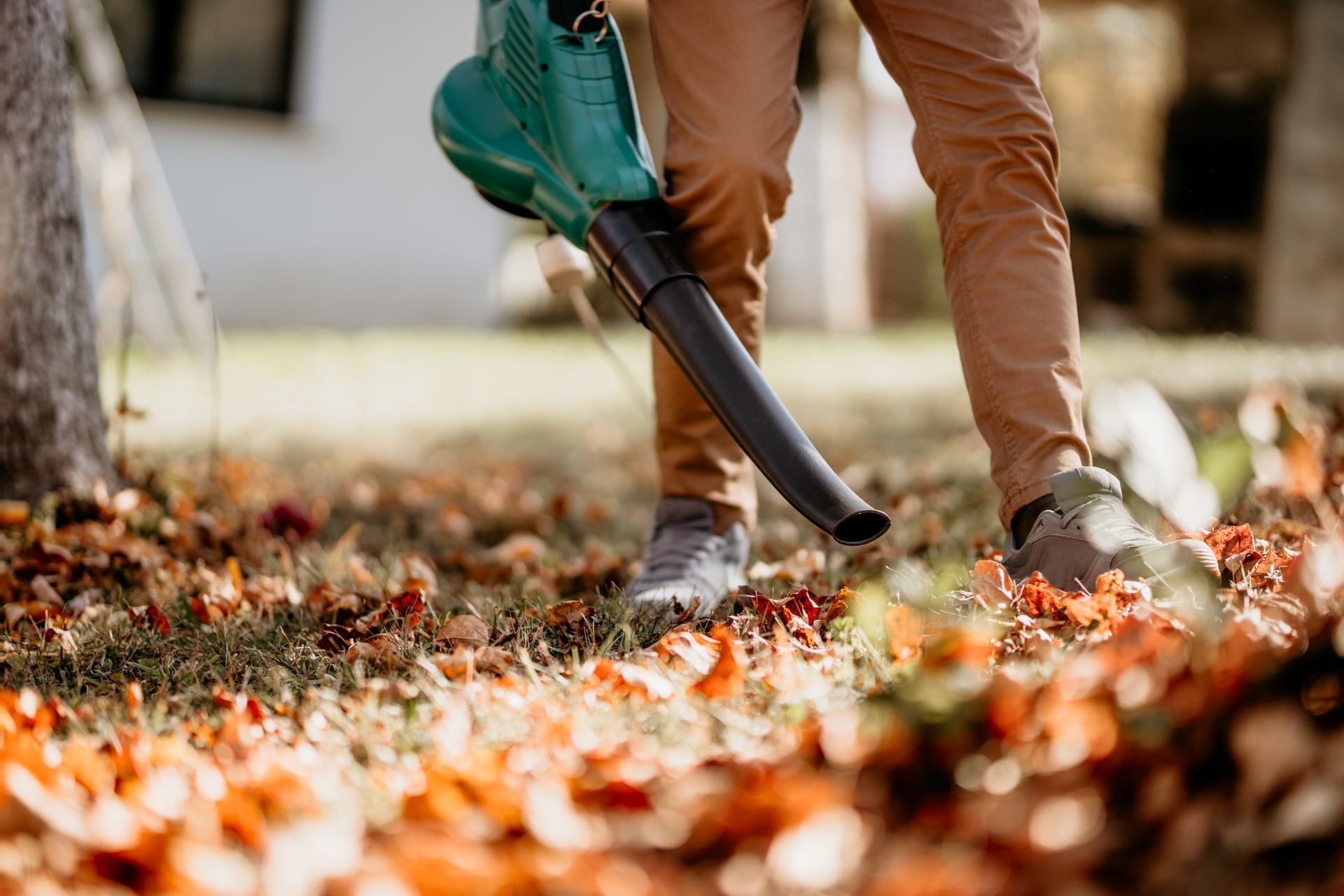 Person using a green leaf blower to clear fallen leaves from a lawn.