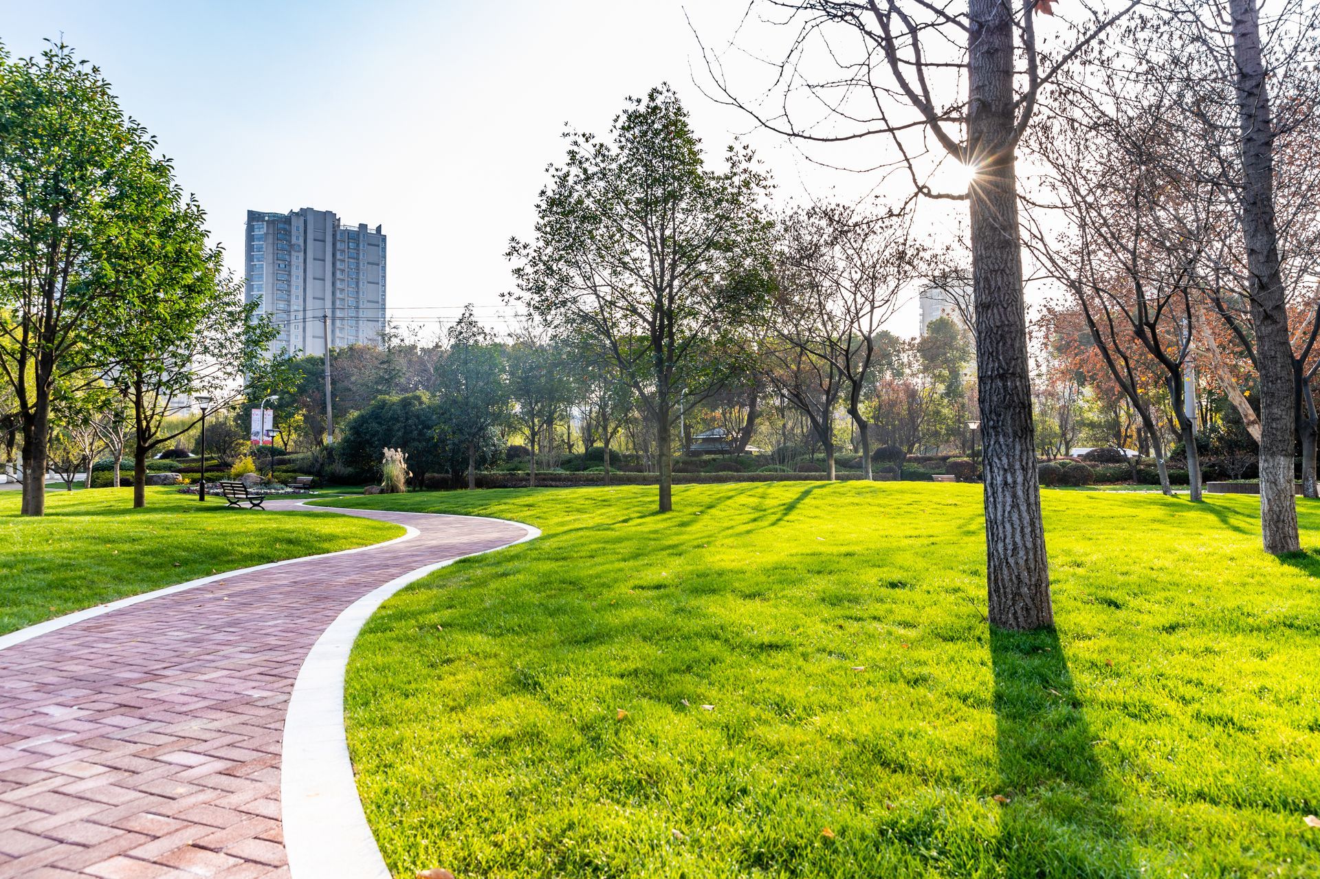 Brick path curves through a sunny green park. Trees and buildings in the background.