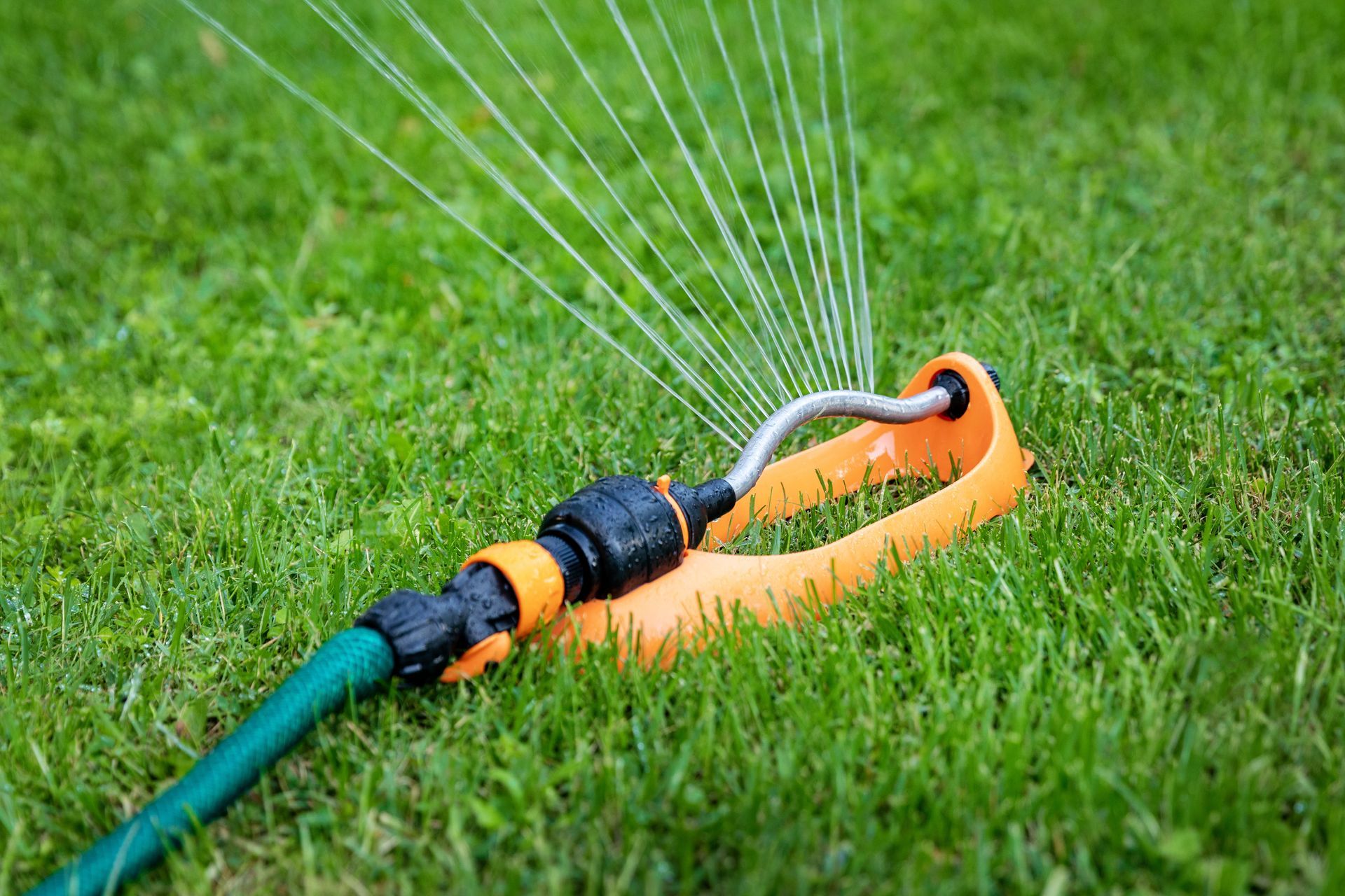 A garden sprinkler spraying water onto green grass.