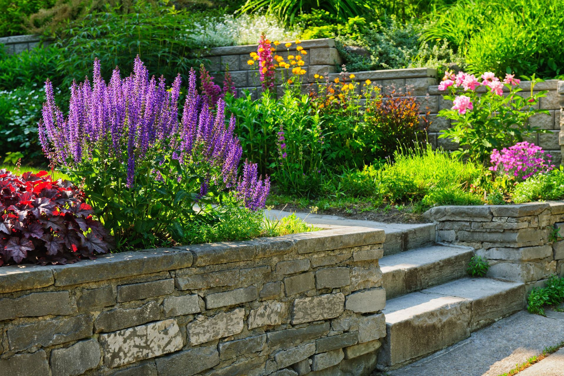 Stone-walled garden with purple flowers, steps, and various greenery. Sunny day.