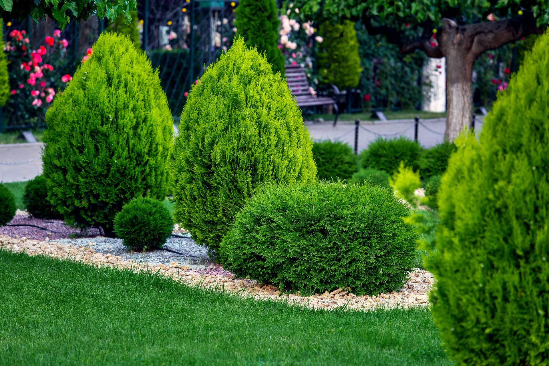 Lush green garden with manicured shrubs, small rocks, and a bench in the background.