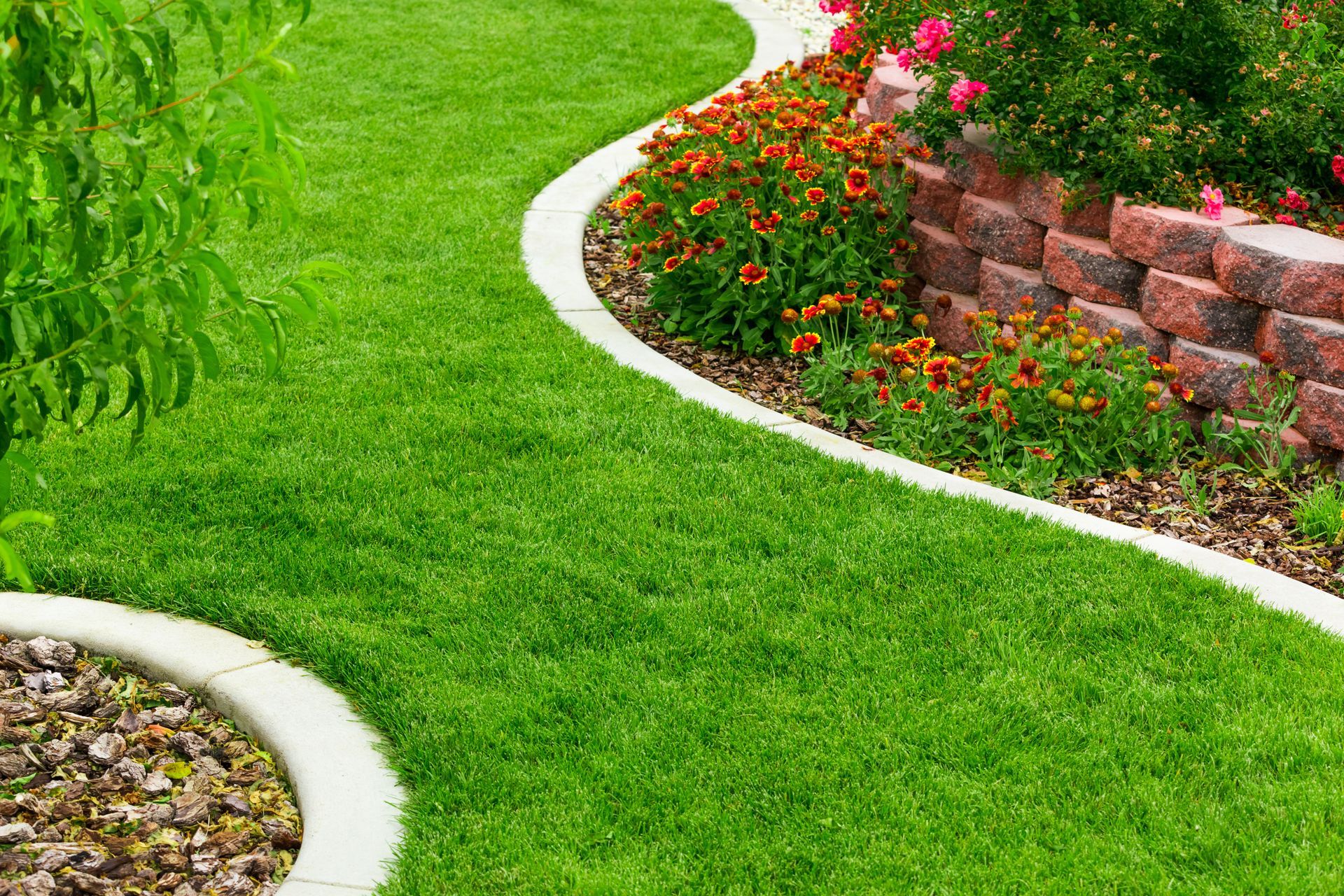 Lush green lawn with a curved concrete border, next to a raised garden bed with flowers and a brick wall.