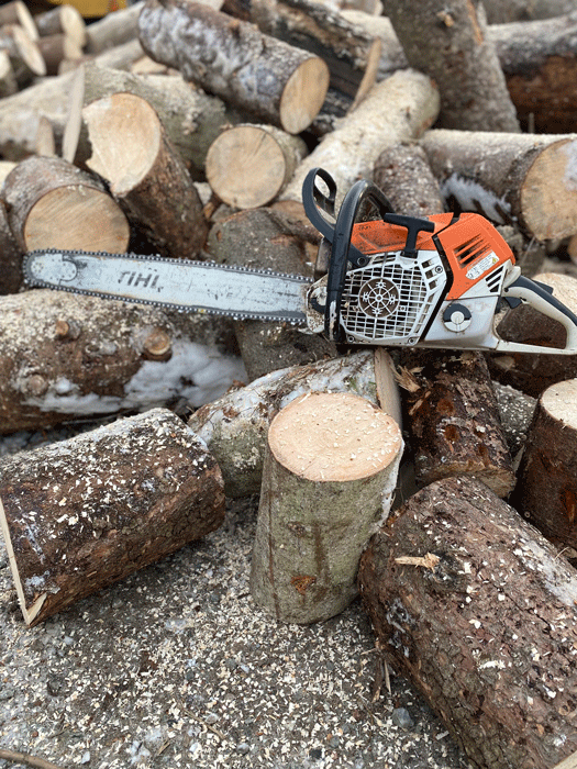 Trunk Cutting — Anchorage, AK — Greatland Tree Service