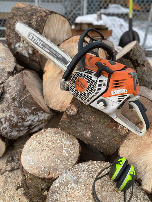 Cutting Tree Trunk— Anchorage, AK — Greatland Tree Service