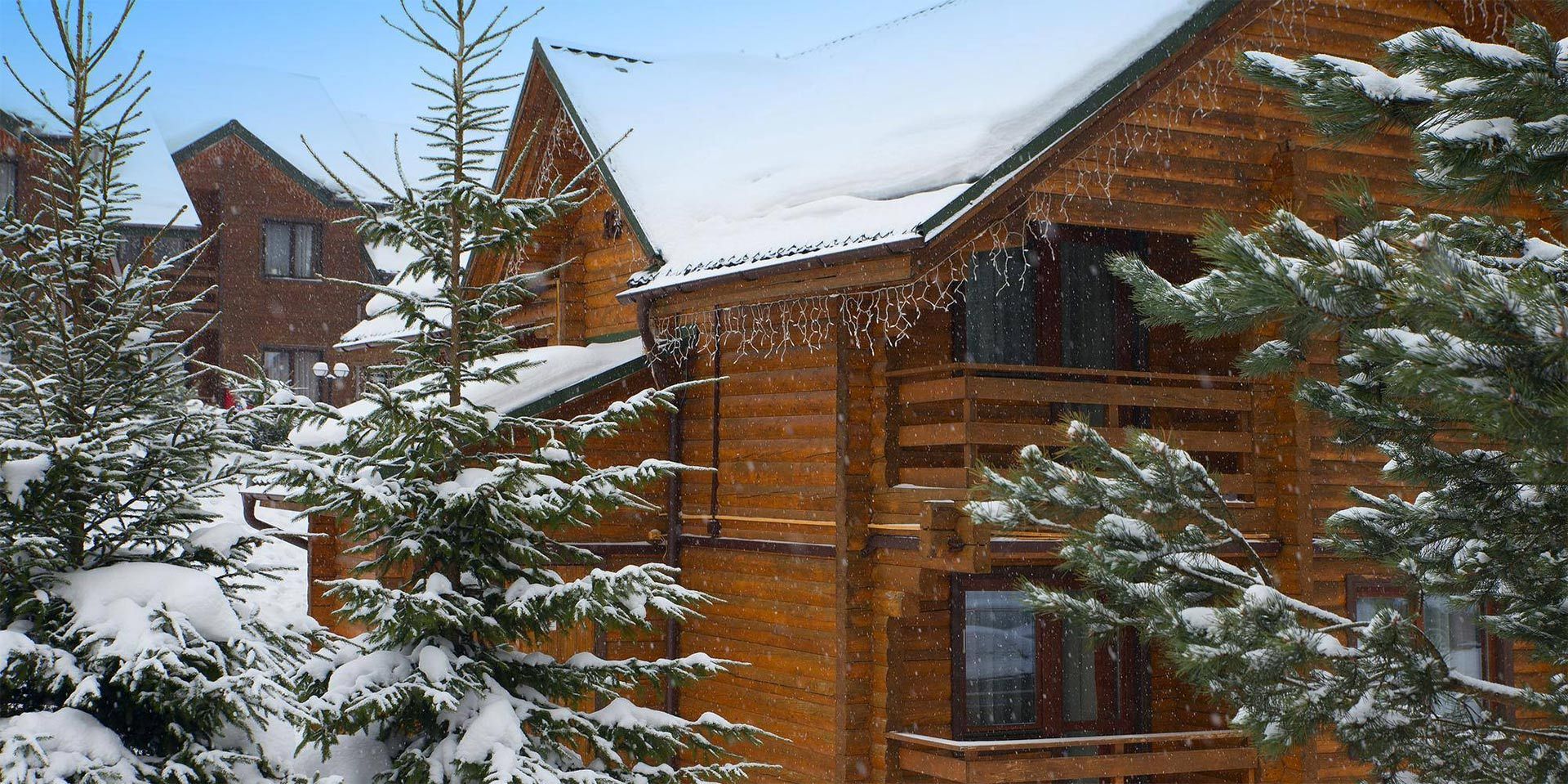 Greatland Tree Service gallery 6