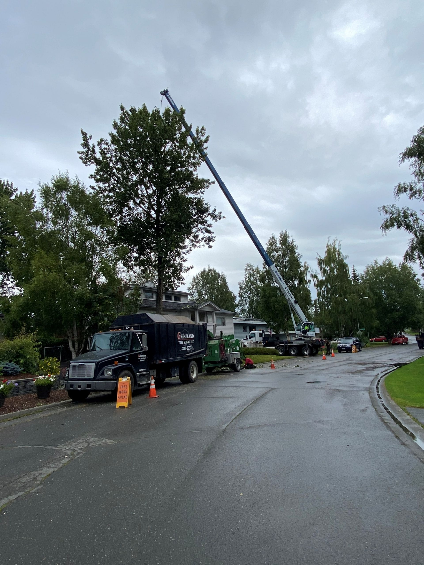 Residential Tree Service — Anchorage, AK — Greatland Tree Service