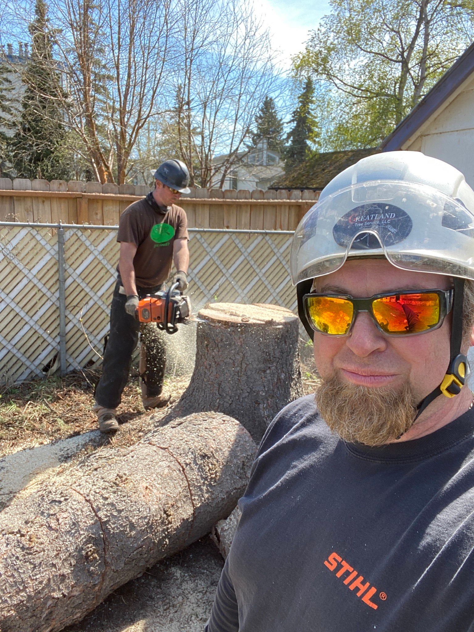 Tree Experts — Anchorage, AK — Greatland Tree Service