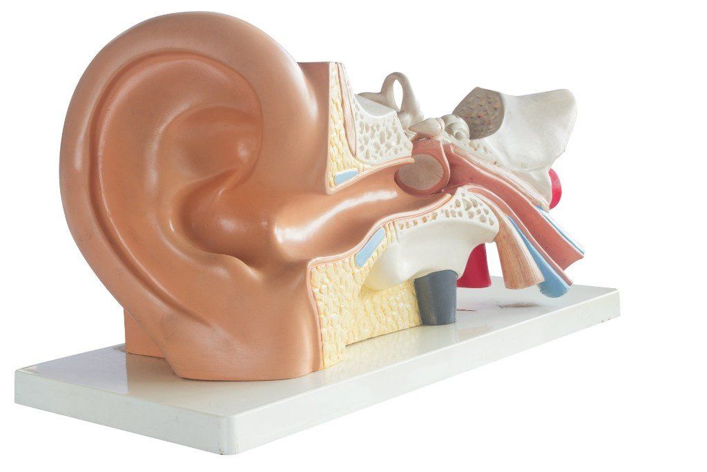 ear clinic in fayetteville, ar