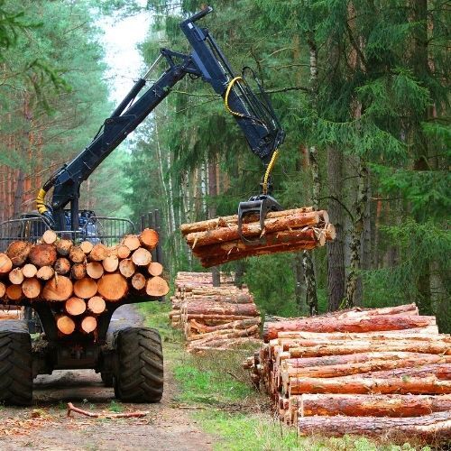 Tree Surgeons Mansfield using a piece of  large machinery to do a Garden clearance and site clearance from a recent large Tree removal job