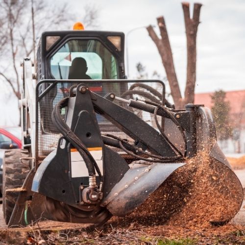 This is a picture by our Tree Surgeons Mansfield of heavy machinery clearing away debris from a tree stump removal in Leicester