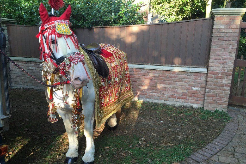 Indian wedding carriages