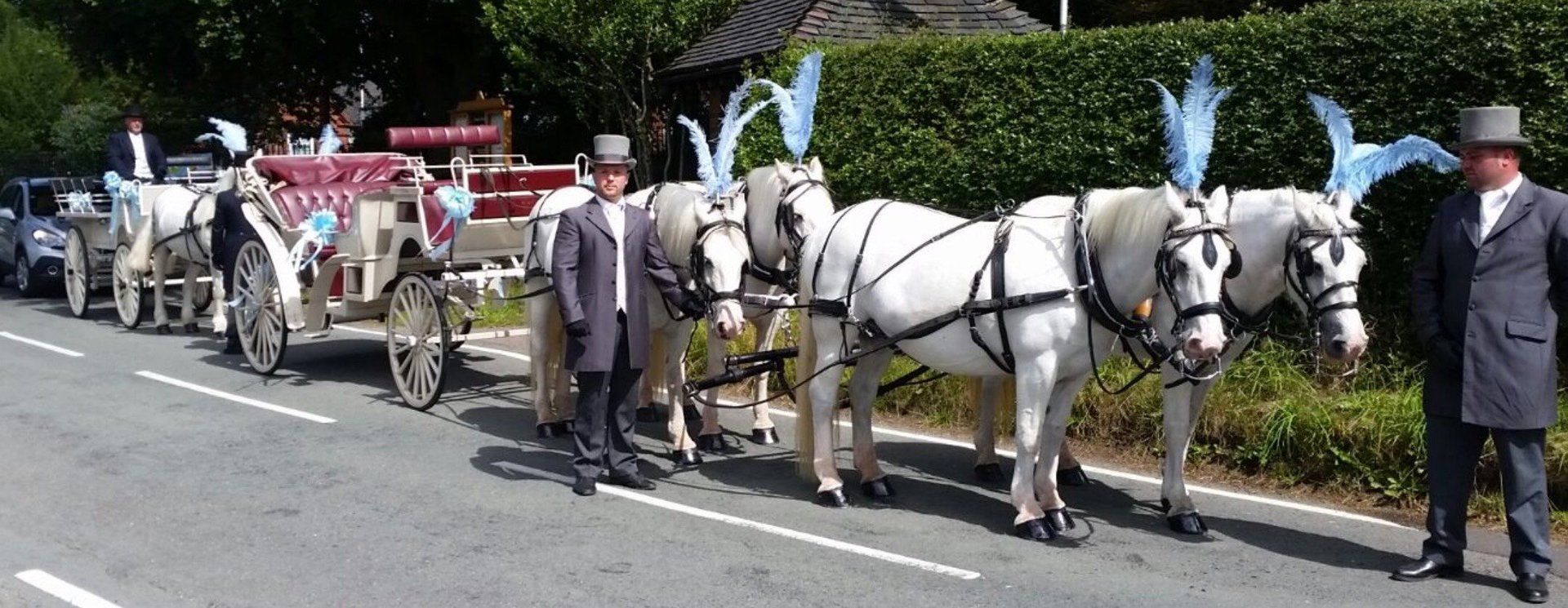 horse-drawn carriage for proms