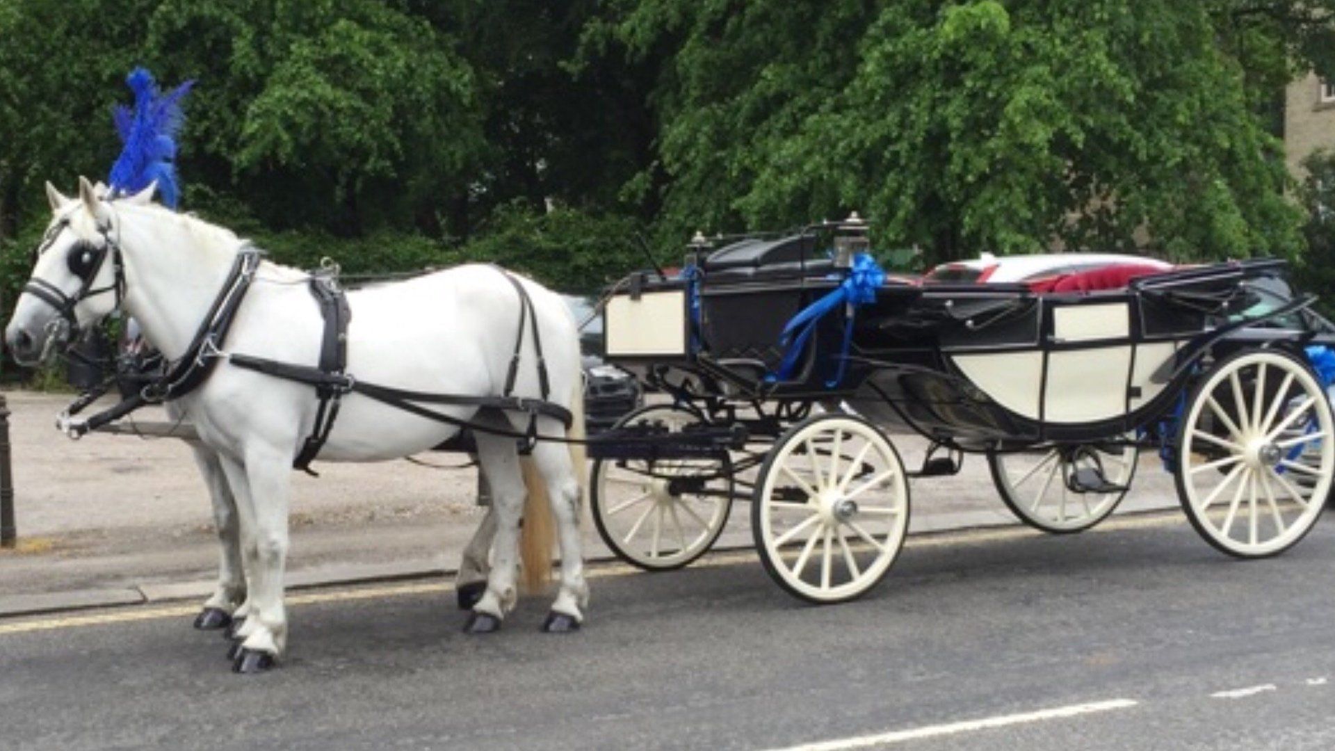 well-maintained carriages