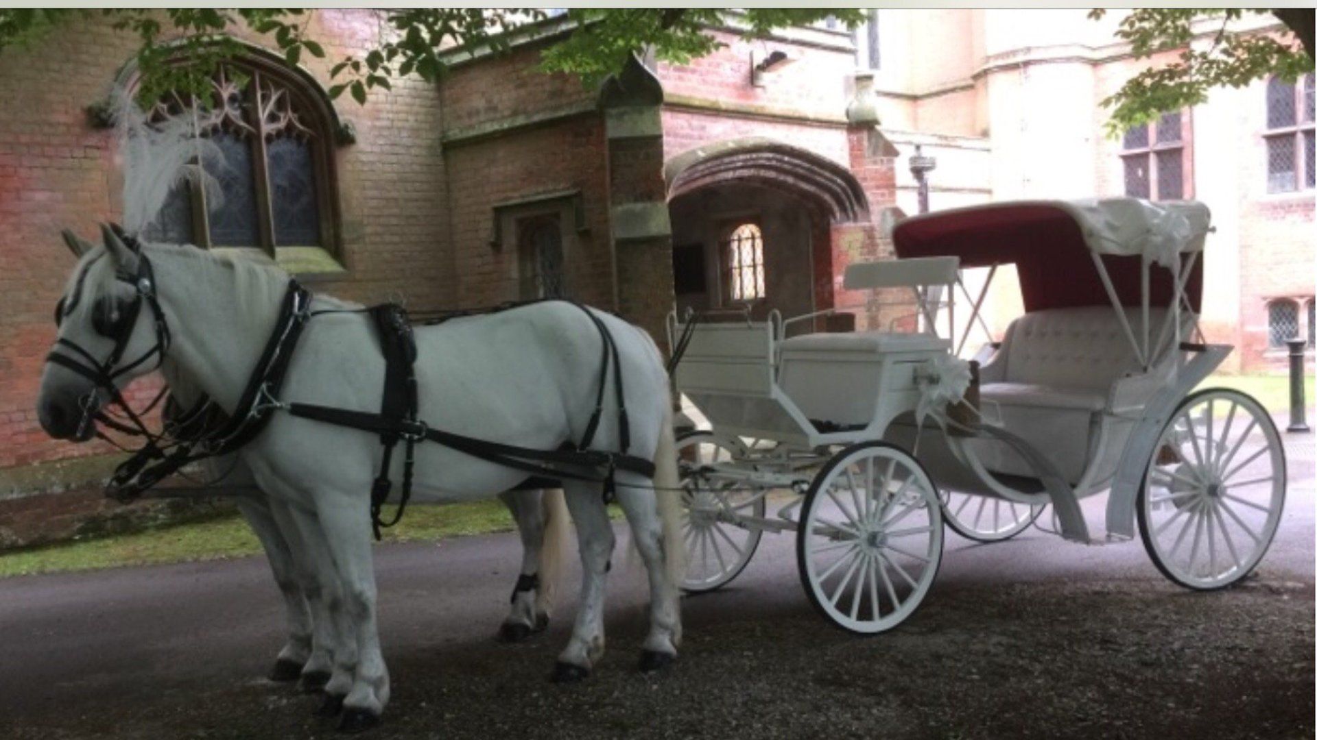 Horse-drawn carriages for special occasions