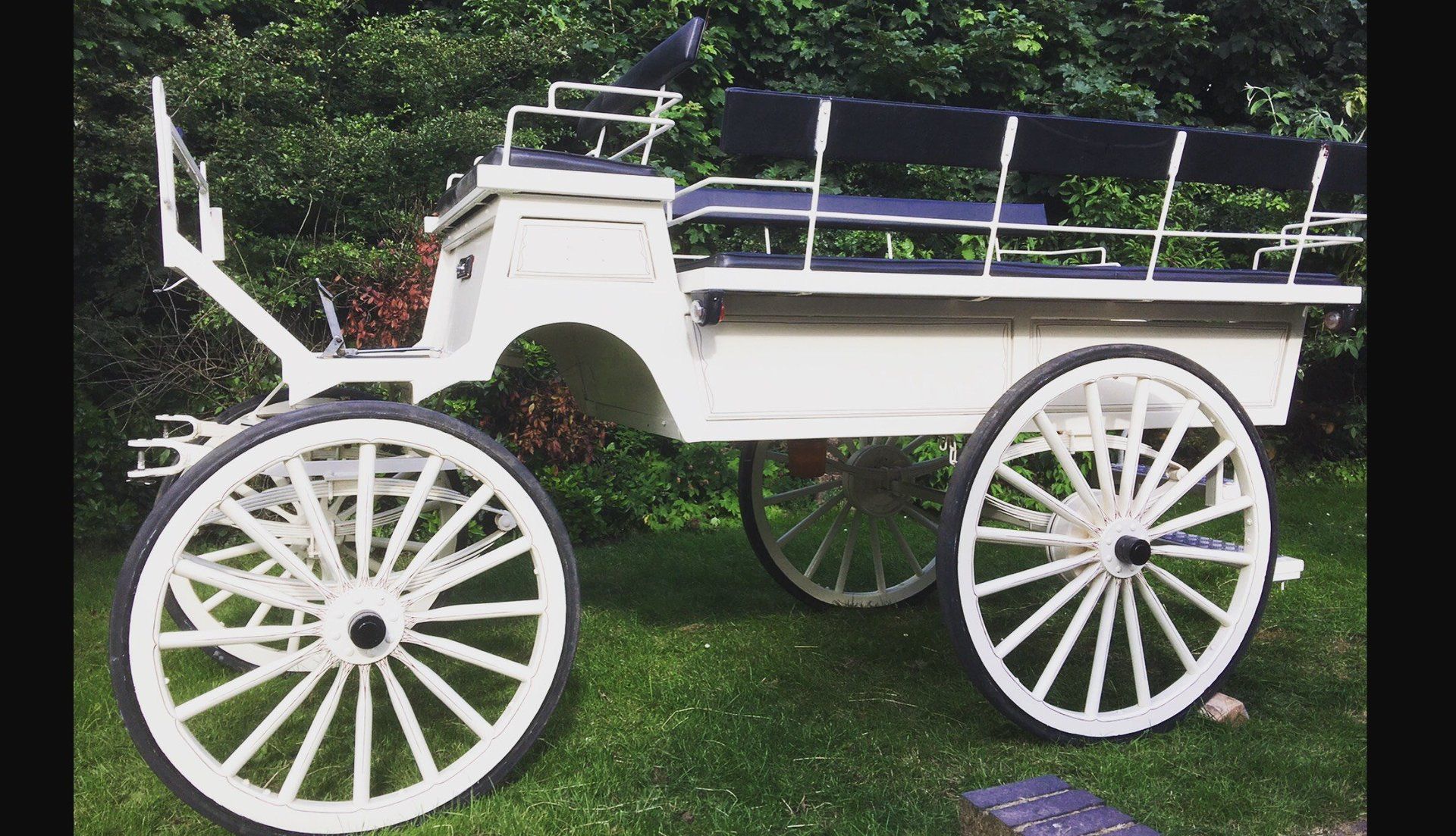 carriage hire services