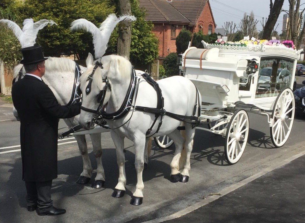 white horse-drawn hearses