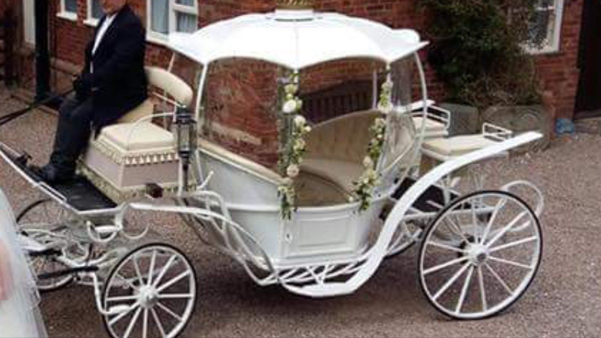 elegant carriages
