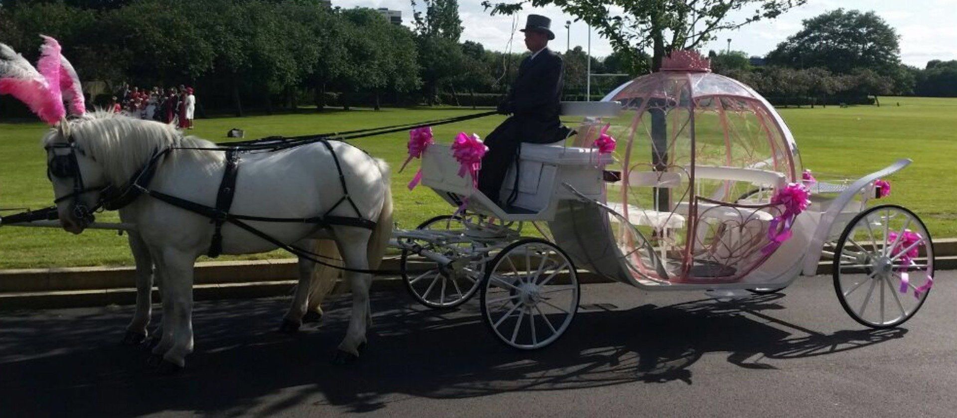 beautiful prom carriages