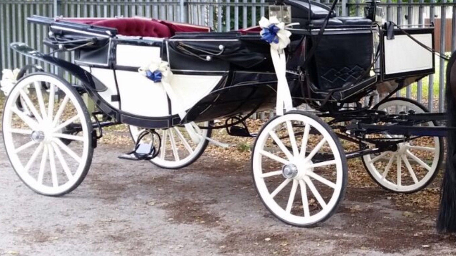 horse-drawn carriage for events