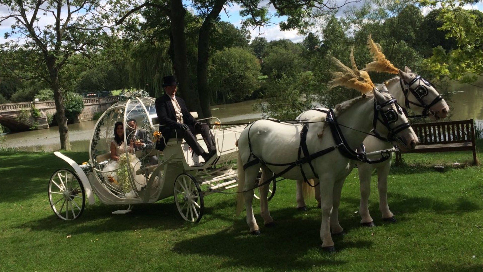 horse-drawn carriages for promotional events