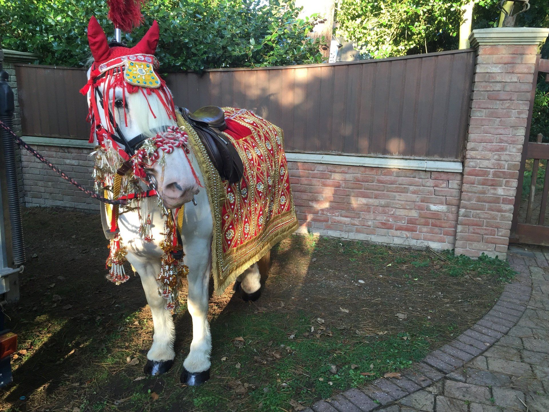 Traditional Asian weddings