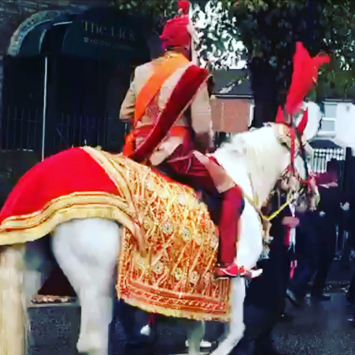 traditionally decorated white horse for Asian weddings