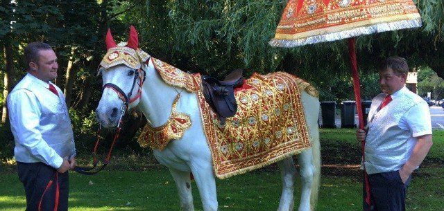 Bharat horses for hire