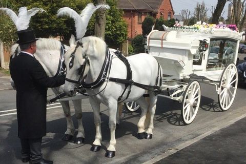 Traditional horse-drawn hearses
