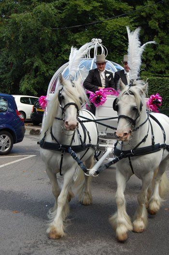 carriage hire