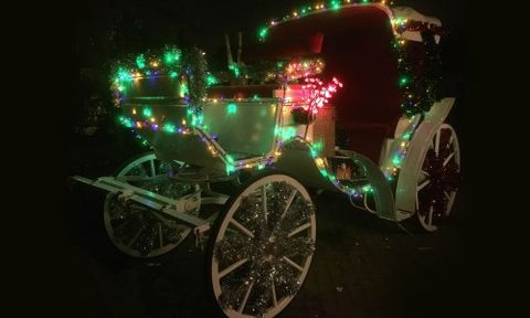 Horse-drawn carriages for christmas parties
