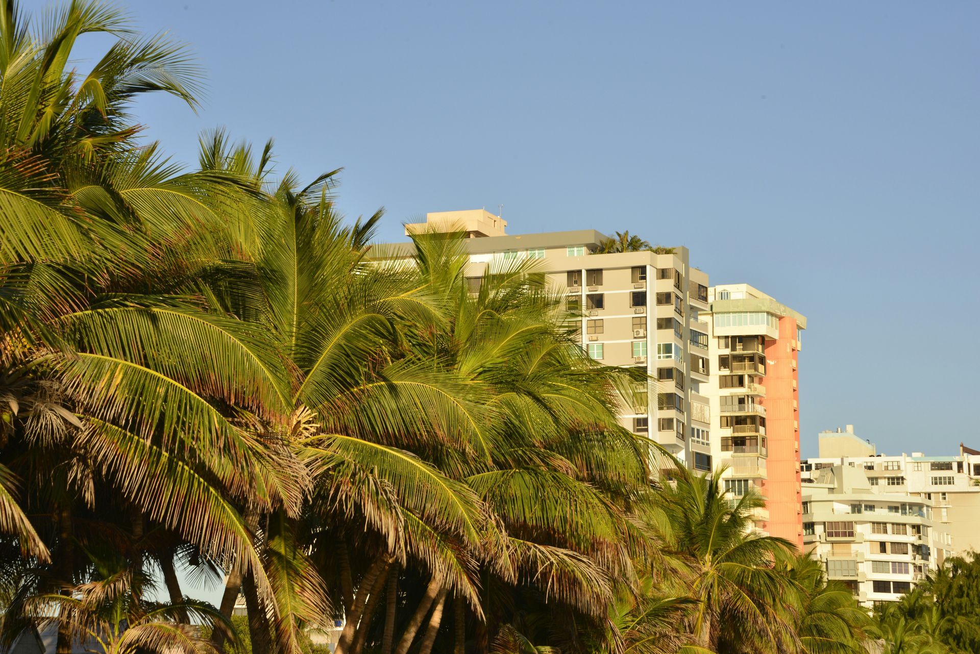 Palm trees in front of a row of beige and coral-colored buildings under a clear blue sky.