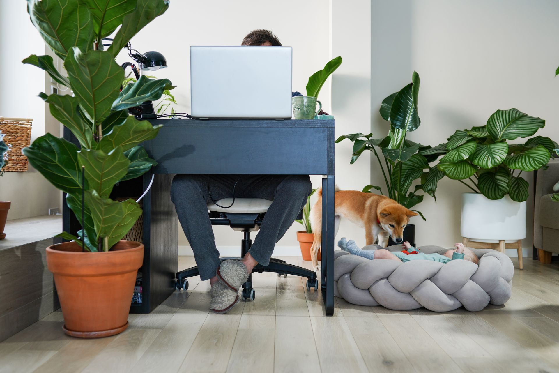 A man is sitting at a desk with a laptop and a dog working on how he can use AI in his coaching business.