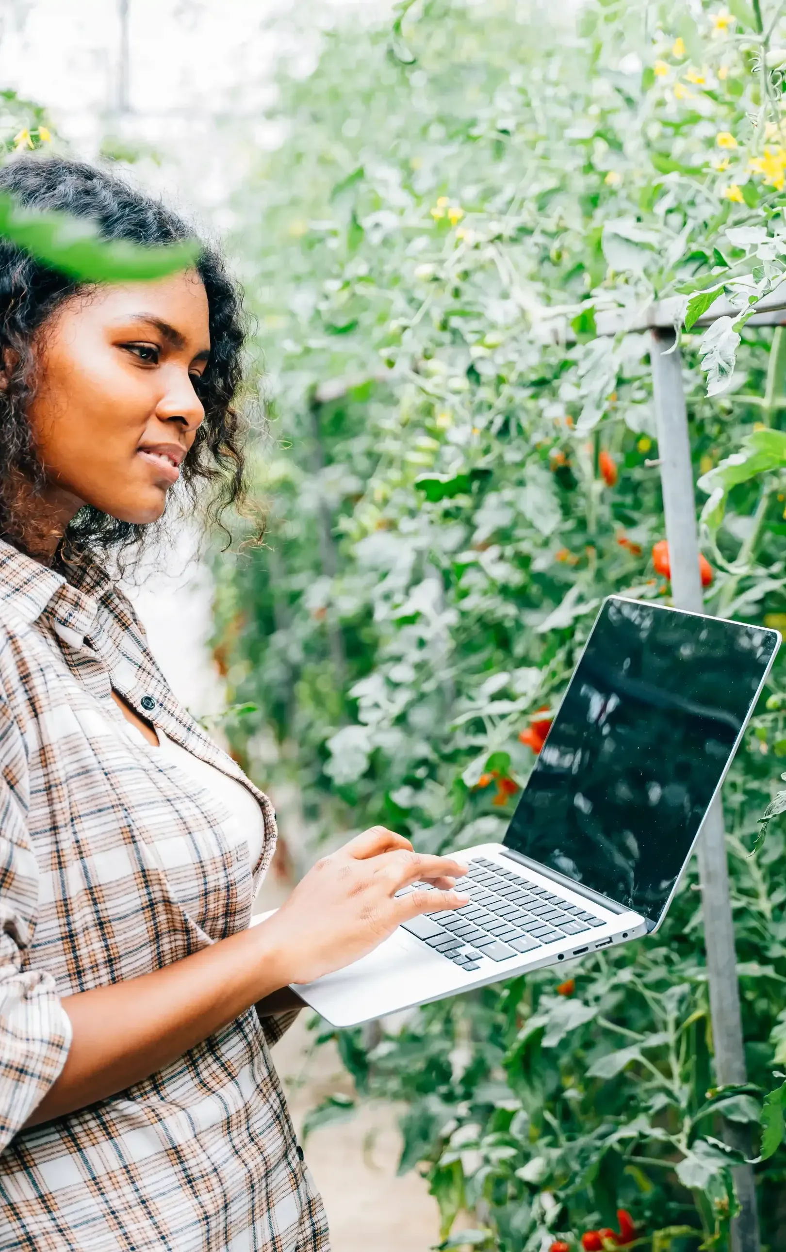 A woman is using a laptop computer in a greenhouse.