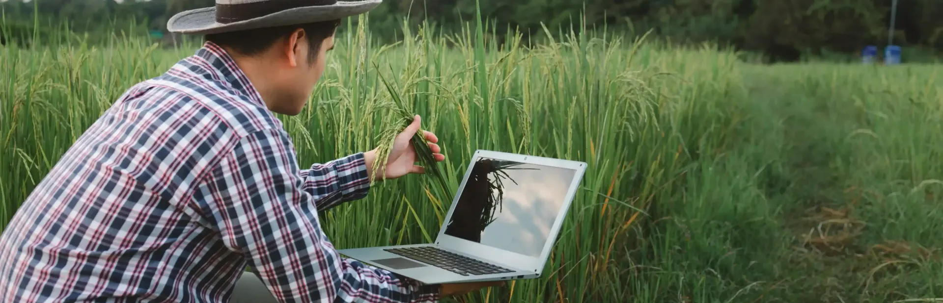 A man is sitting in a field using a laptop computer.