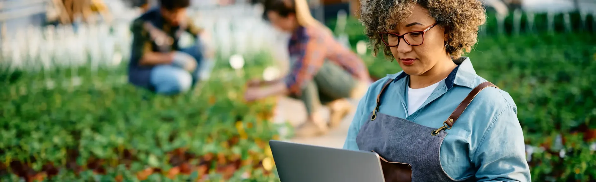 A woman is using a laptop computer in a garden.