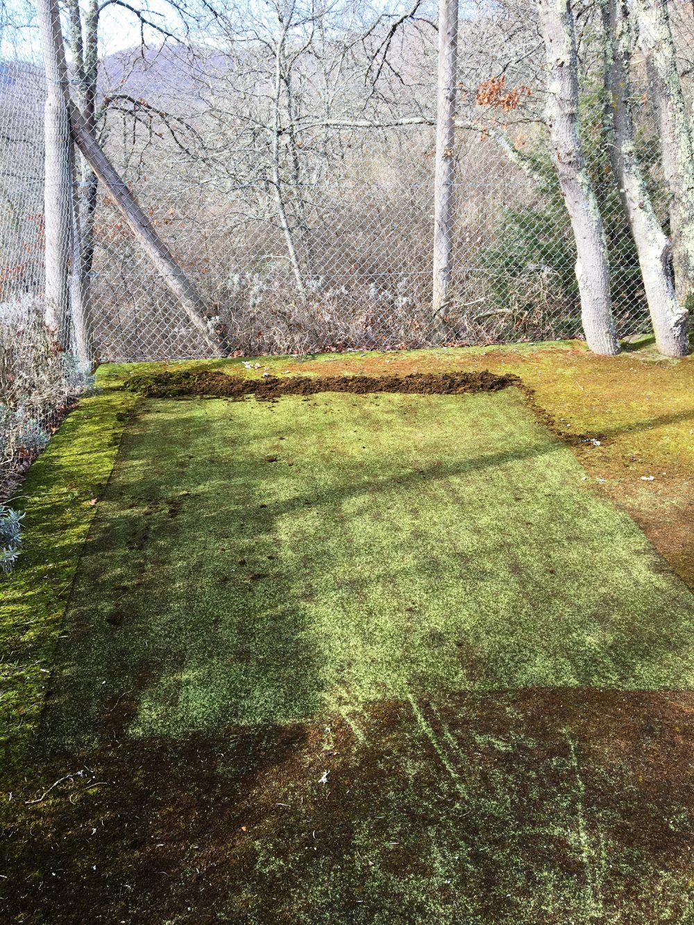 Rigenerazione manto erboso