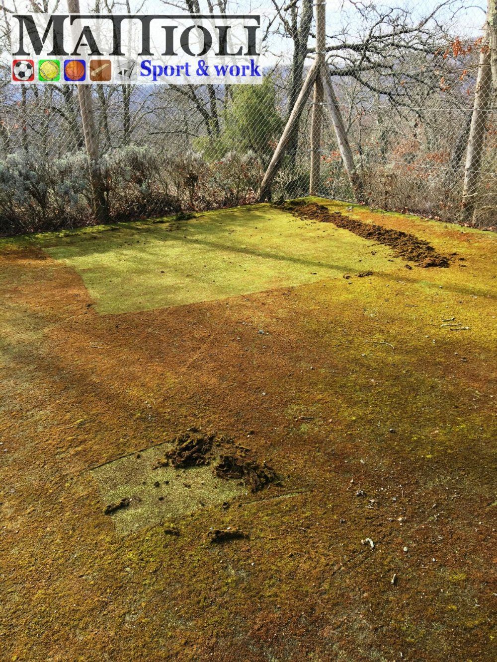 Rigenerazione manto erboso