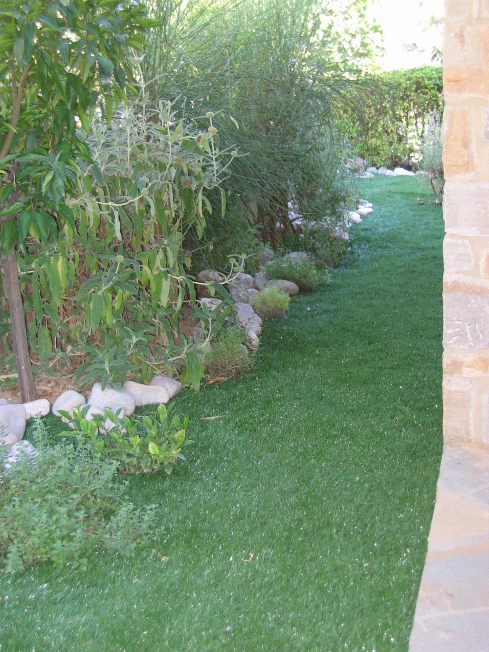 Creazione di un prato con erba ornamentale