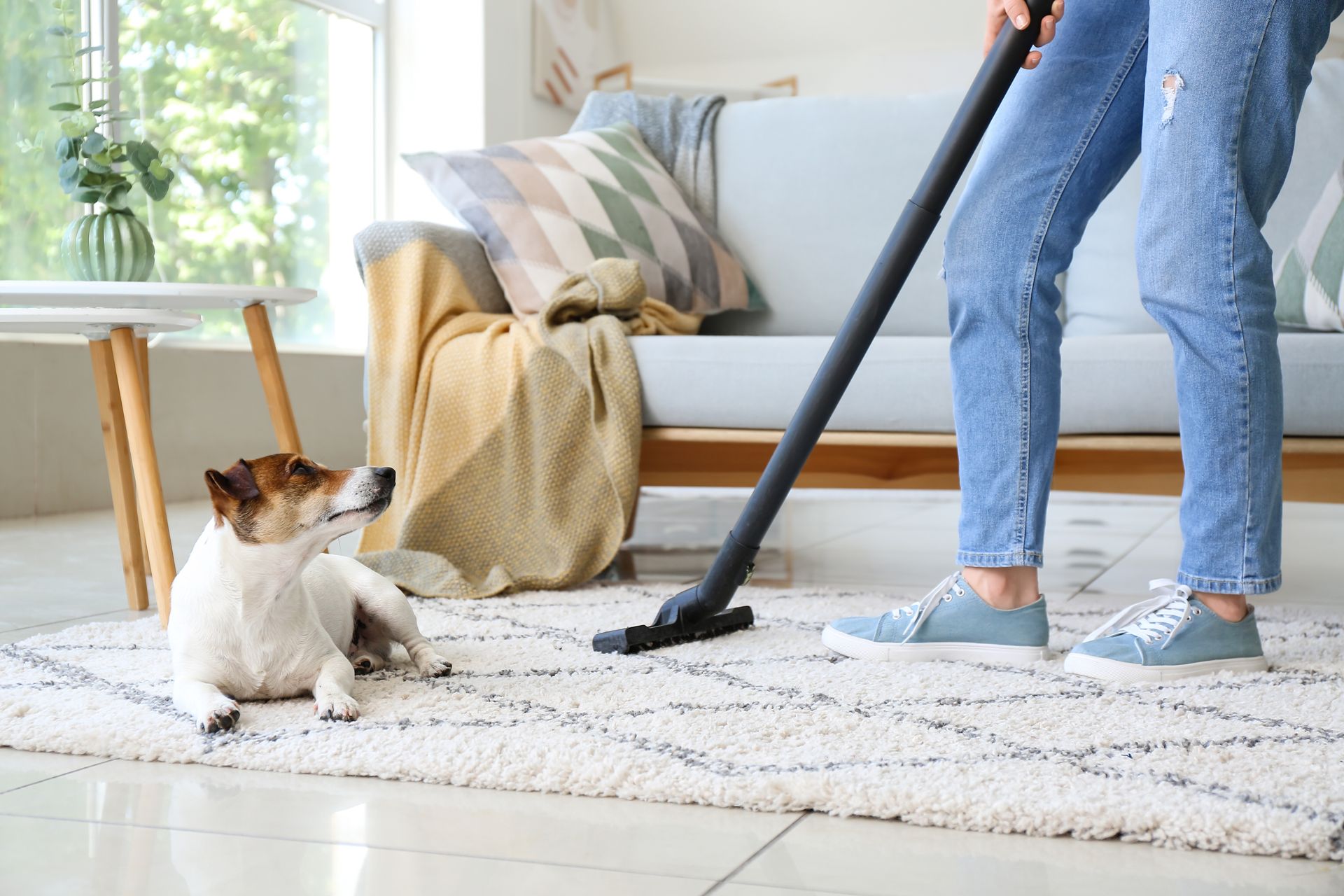 A professional rug cleaner applying carpet deodorizer near Benicia, California