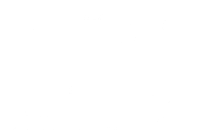 Solano County's Best of 2023 Times Herald Award