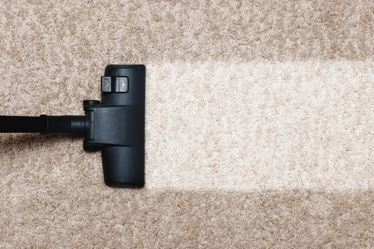 Before and after of a patch of carpet receiving carpet cleaning services near Benecia, California (CA)