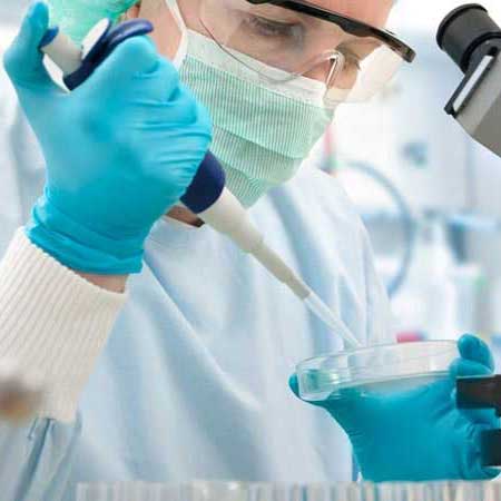 LABSIN - Laboratorio