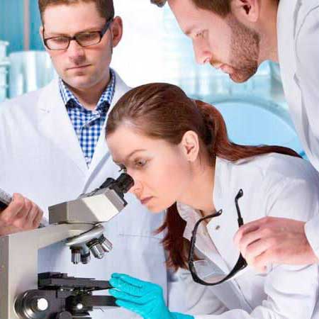 LABSIN - Estudios de laboratorio