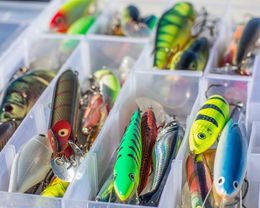 fishing bait and lure products