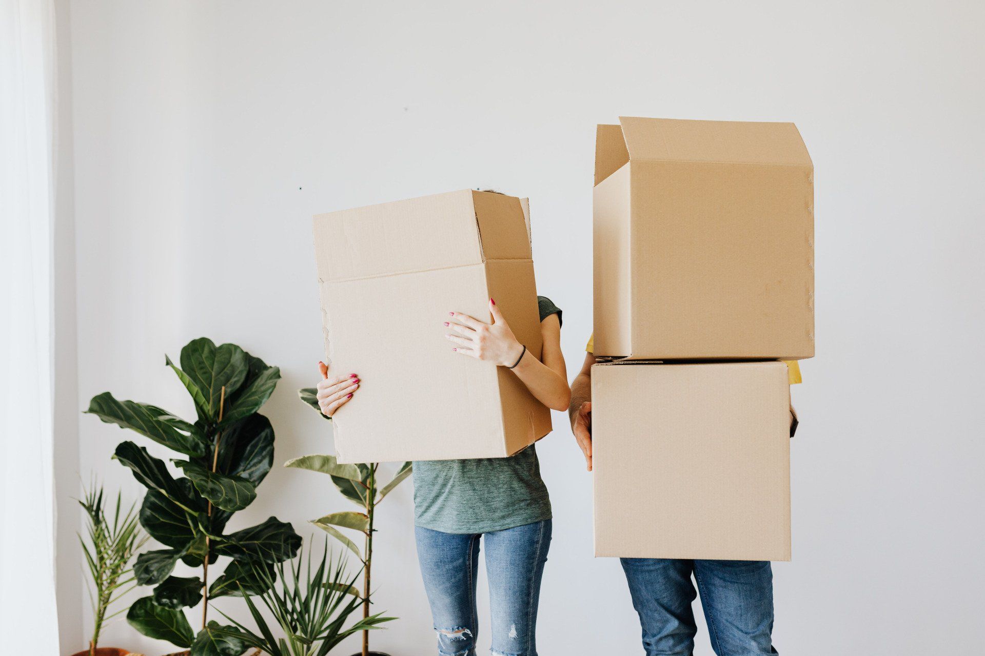 Two people in jeans, holding cardboard boxes over their heads in a bright room with potted plants.
