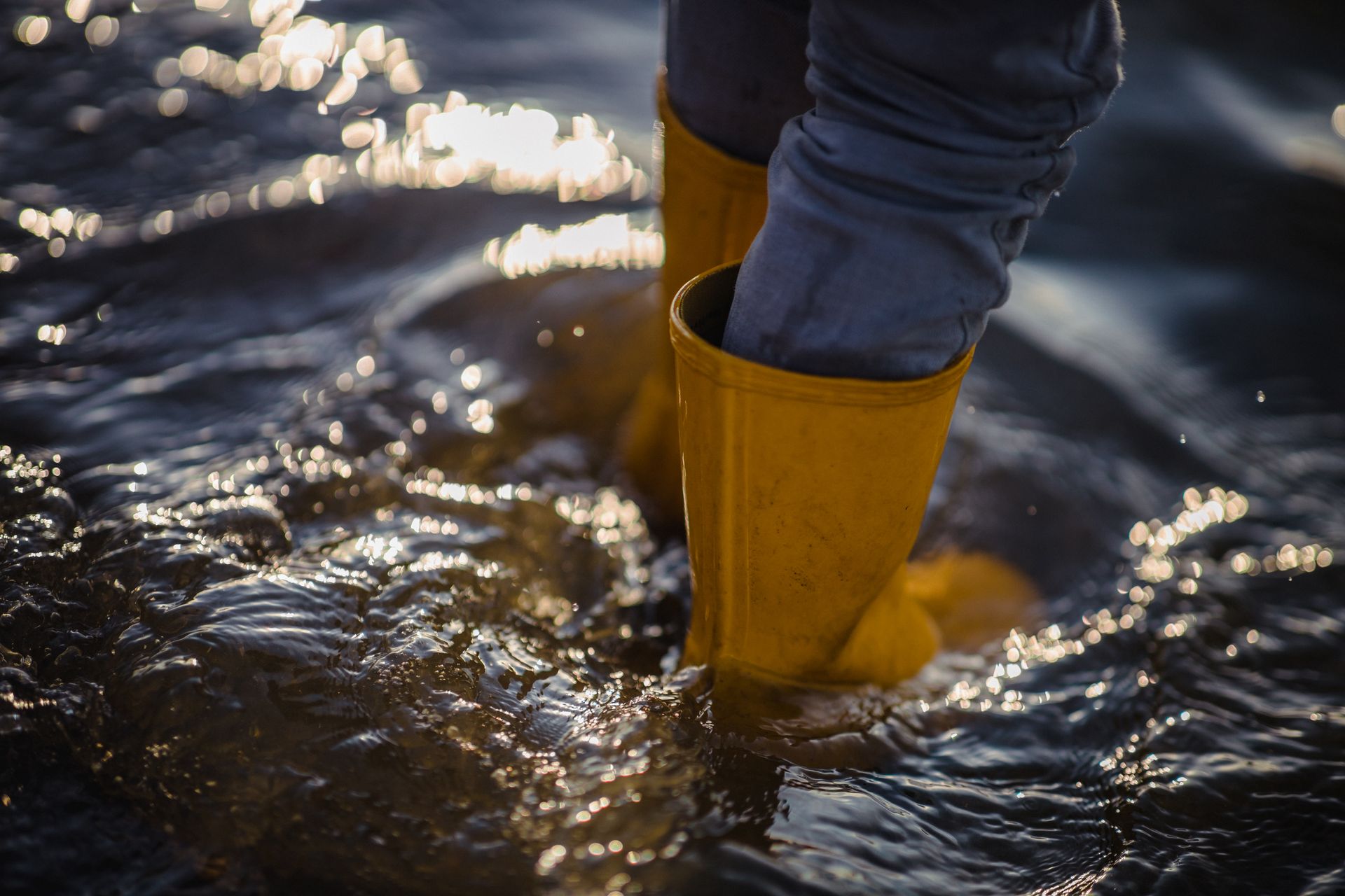 Yellow rain boots wade in dark water, catching sunlight.