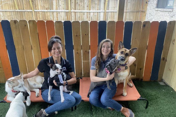 Memorial Pet Lodge exterior. Staff having photo with Dogs